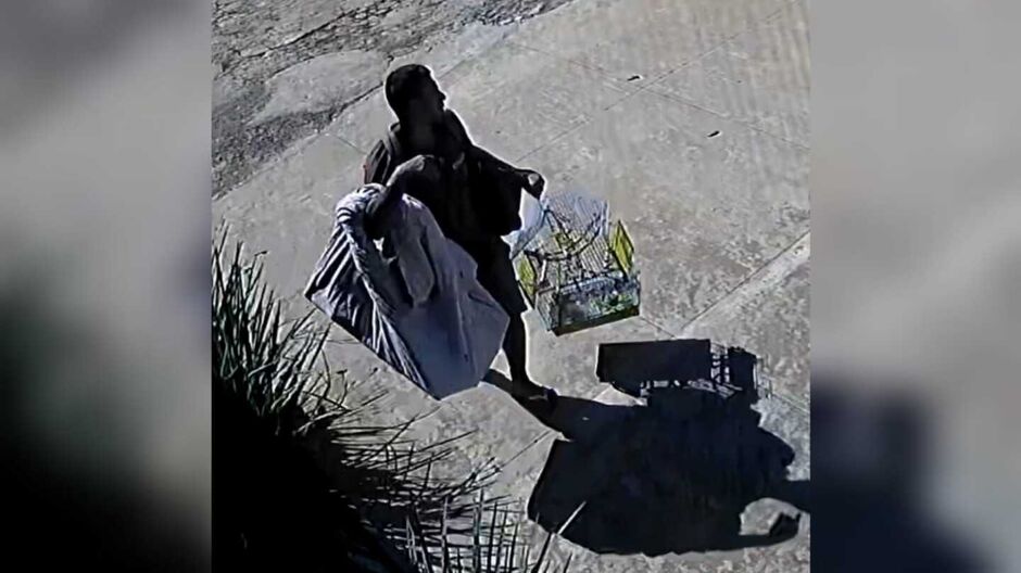 Um dos suspeitos saiu com a gaiola da casa