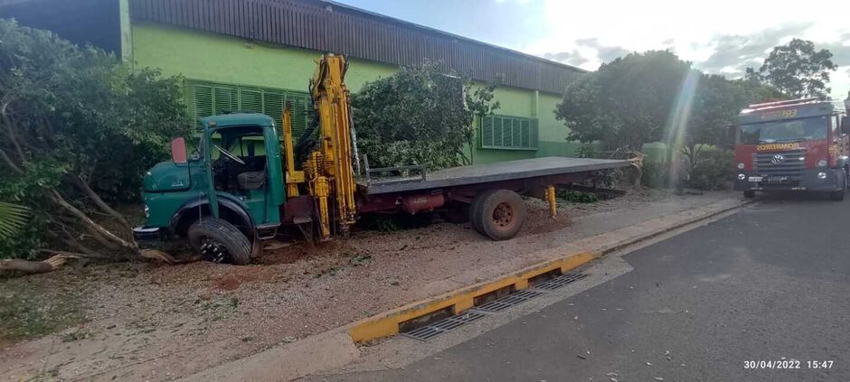 Caminhão acabou derrubando uma árvore