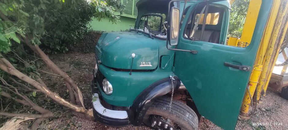 Caminhão acabou derrubando uma árvore