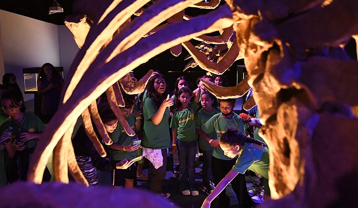 Alunos de escola pública visitam Bioparque Pantanal