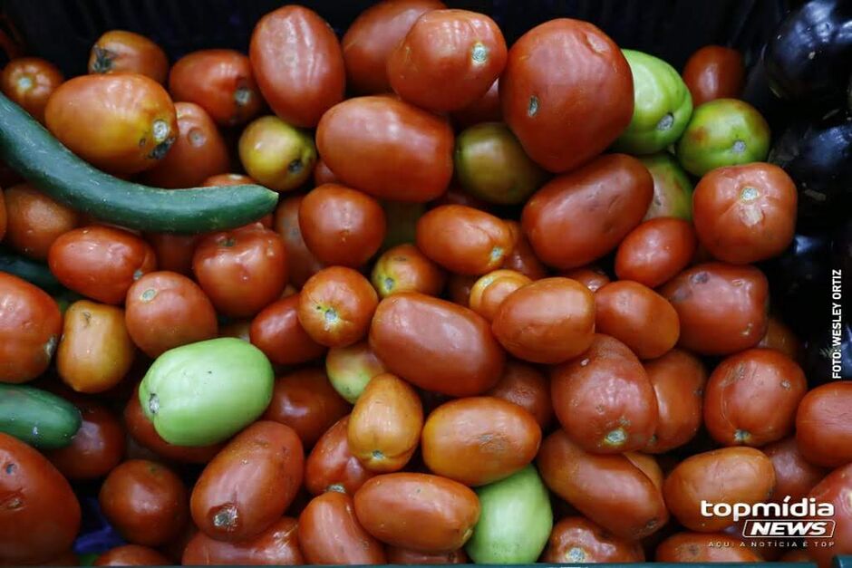 Tomate continua com preço salgado em Campo Grande