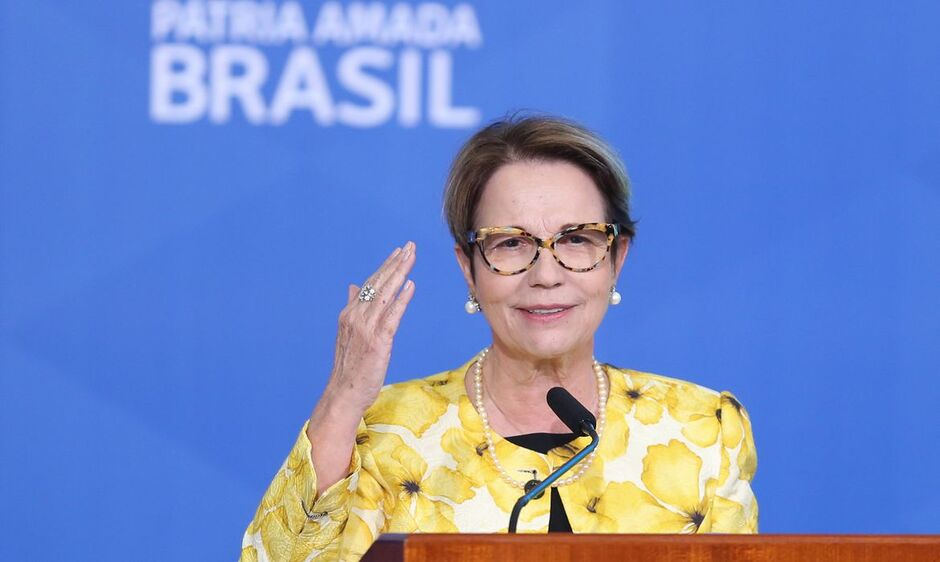 Deputada Tereza Cristina destacou sobre desafios do setor