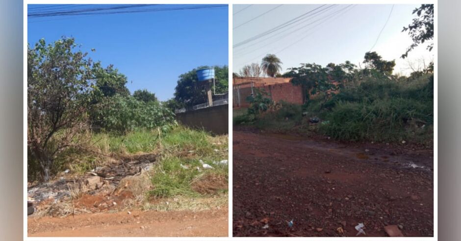 Terreno está tomado por lixo e mato alto