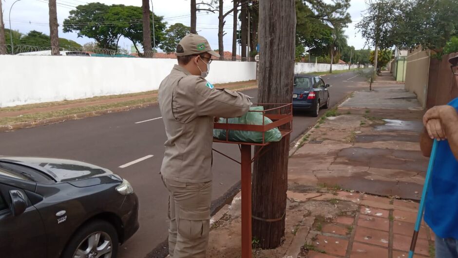 Corpo de um gato em decomposição estava na sacola