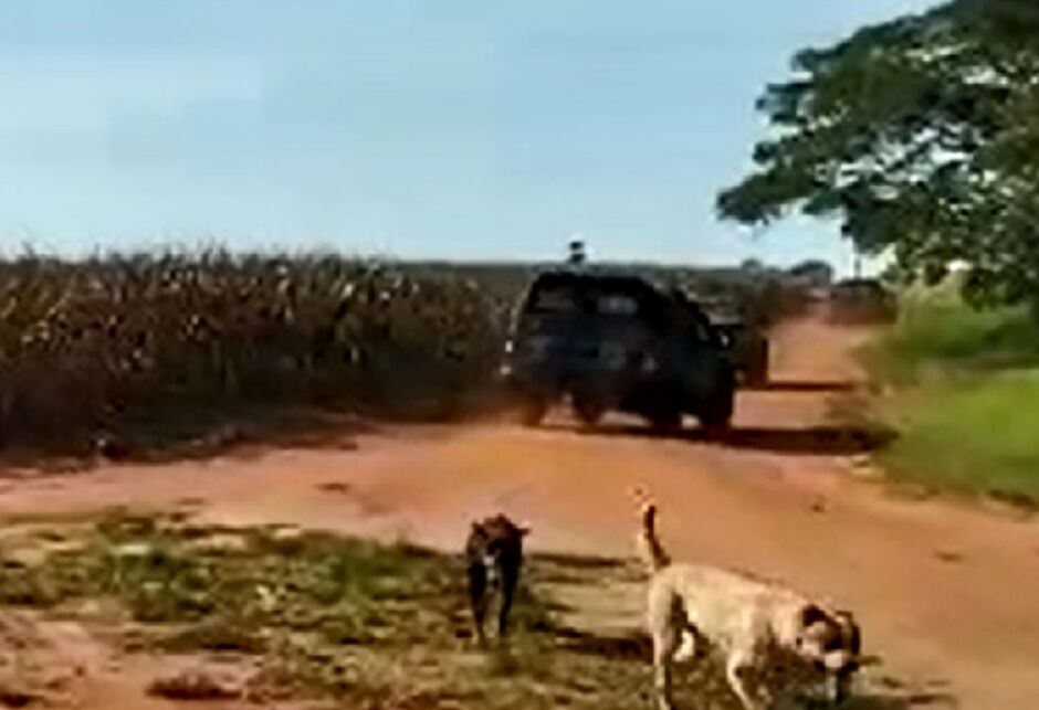 Choque foi recebido a tiros em fazenda 