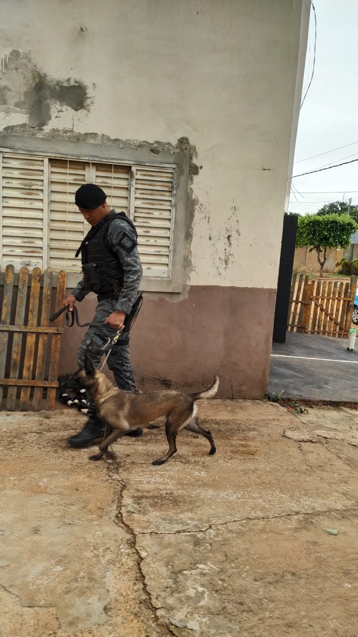 Ação teve nome de ''fornecedor'' em latim 