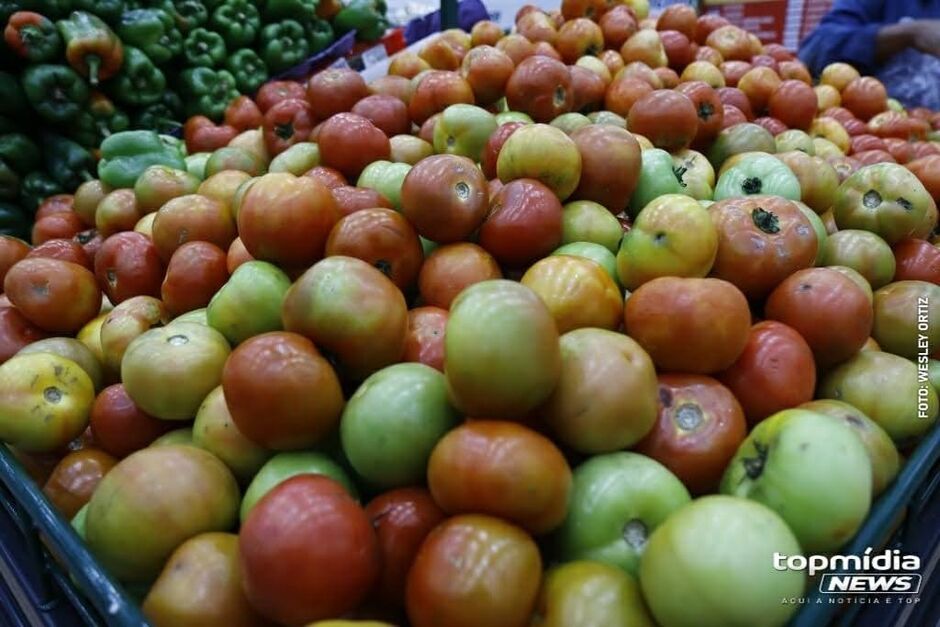 Tomate foi a boa notícia entre os preços dos alimentos 