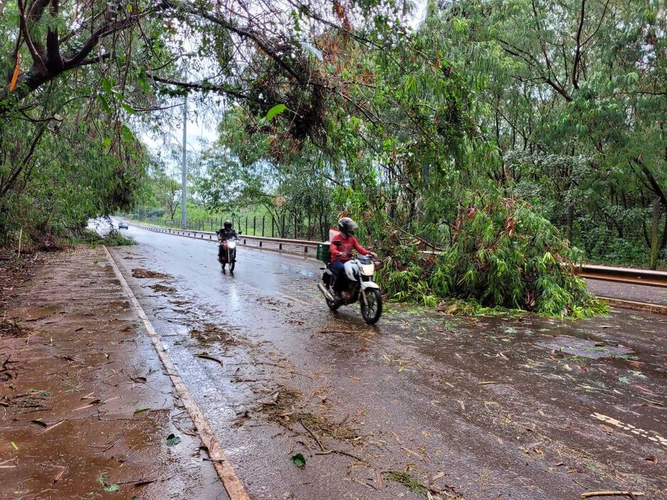 Em pouco tempo, temporal deixou pequenos estragos e riscos aos motoristas e motociclistas