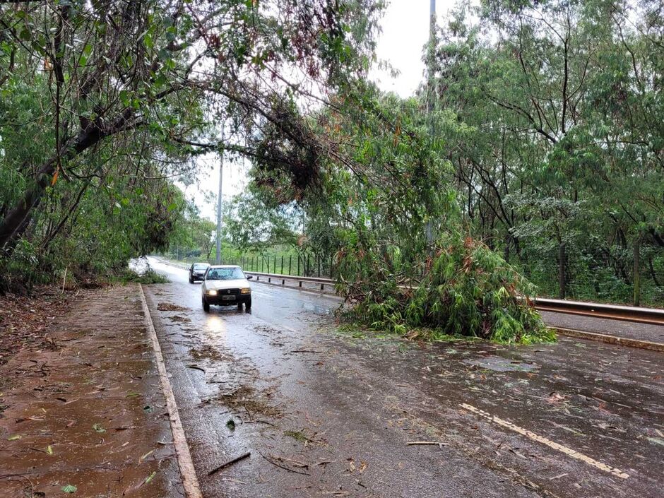 Em pouco tempo, temporal deixou pequenos estragos e riscos aos motoristas e motociclistas