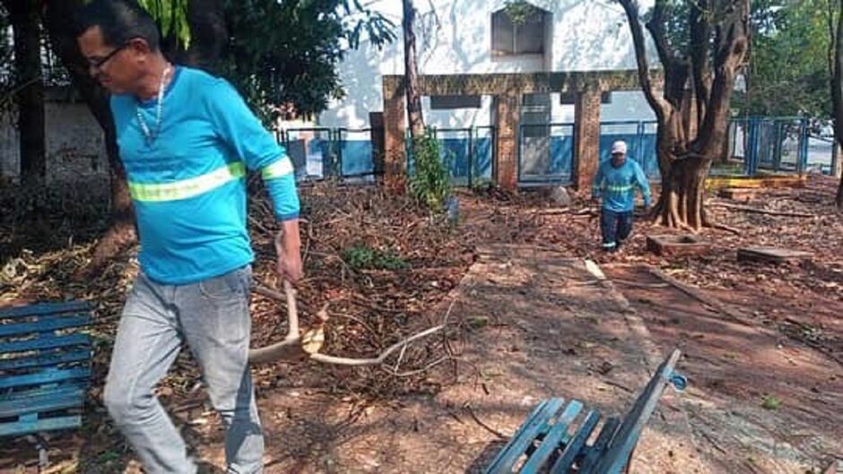 Horto Florestal passou por limpeza