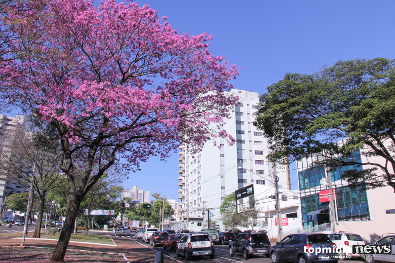 Campo Grande comemora 123 anos com marcos na política