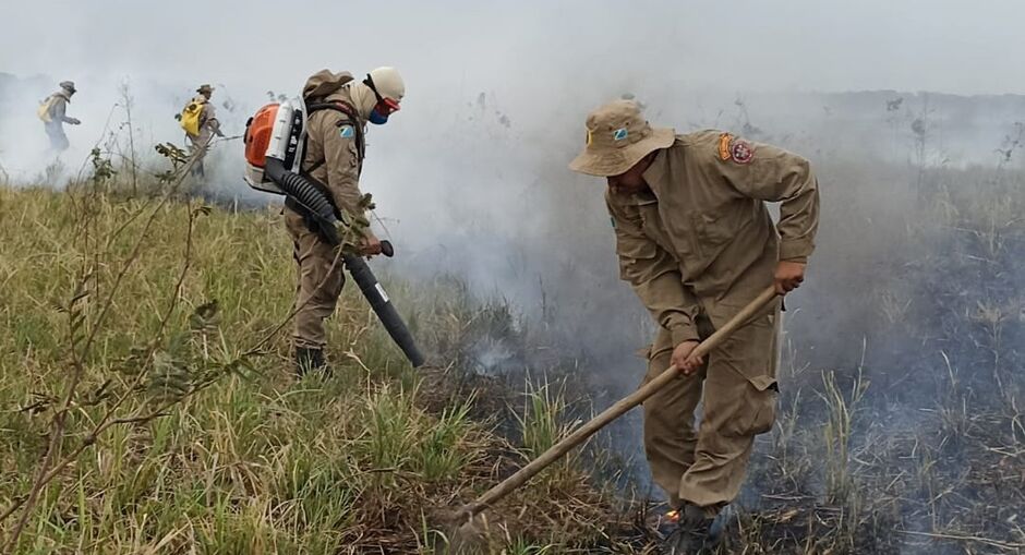 Incêndios de 2020 no Pantanal viraram notícia internacional
