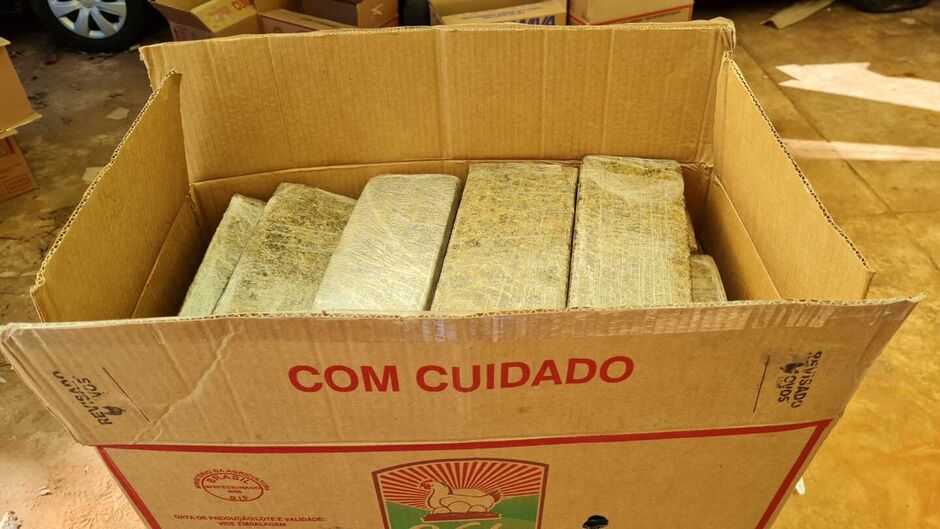 Maconha estava em caixas de papelão na Tamandaré 