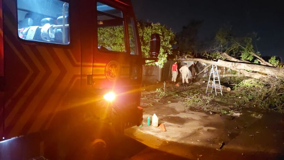 Corpo de Bombeiros fez serviços de cortes na árvore