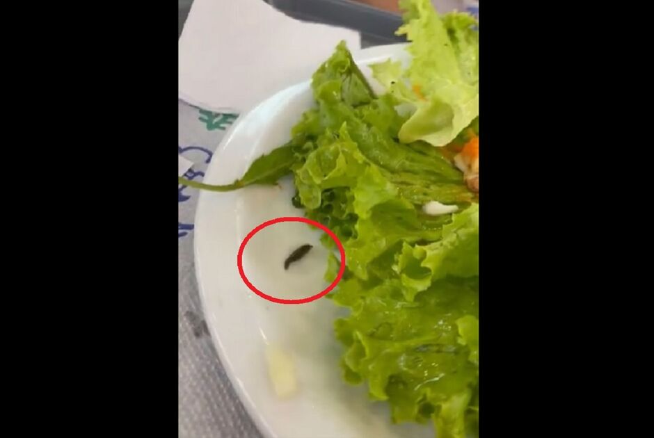 Lesma estragou almoço de domingo 