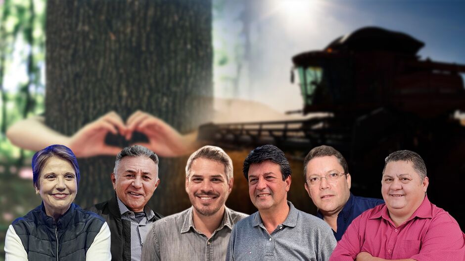 Candidatos indicam que deve haver menos agrotóxicos em plantações