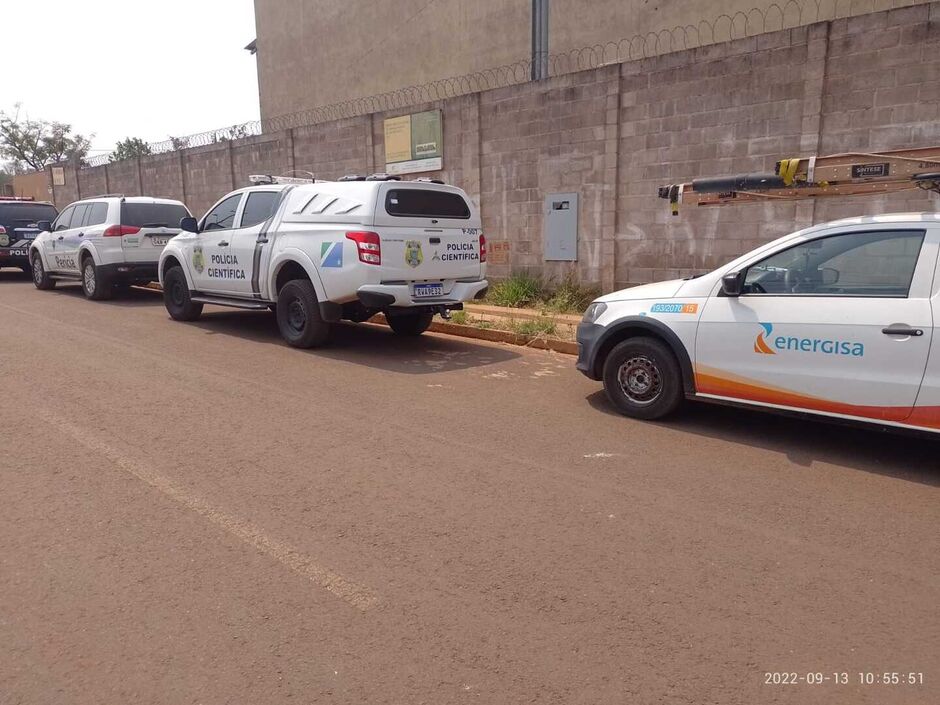 Animal doente resgatado na ação policial