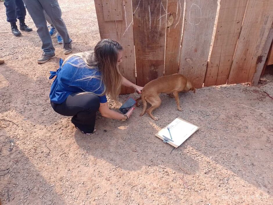 Animal doente resgatado na ação policial