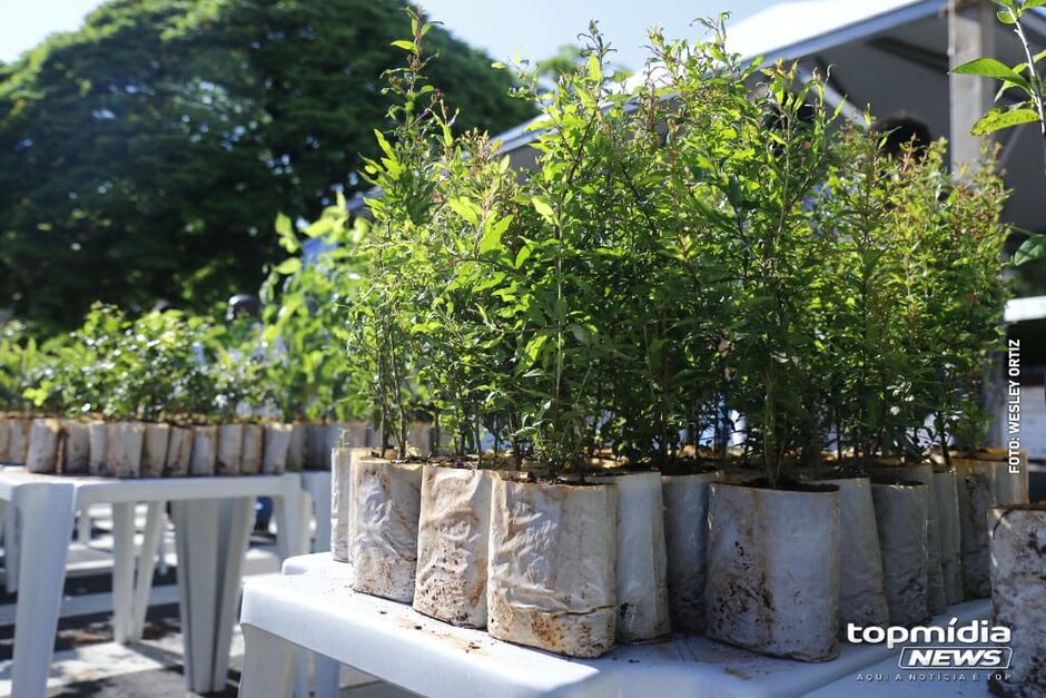 Ação ocorreu na manhã deste sábado