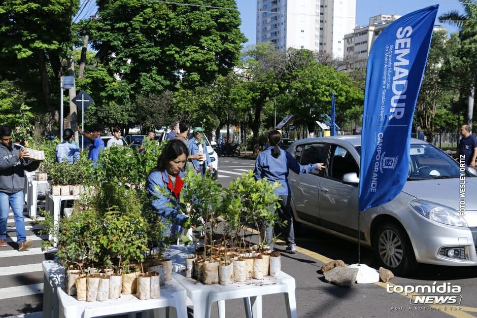 Ação ocorreu na manhã deste sábado