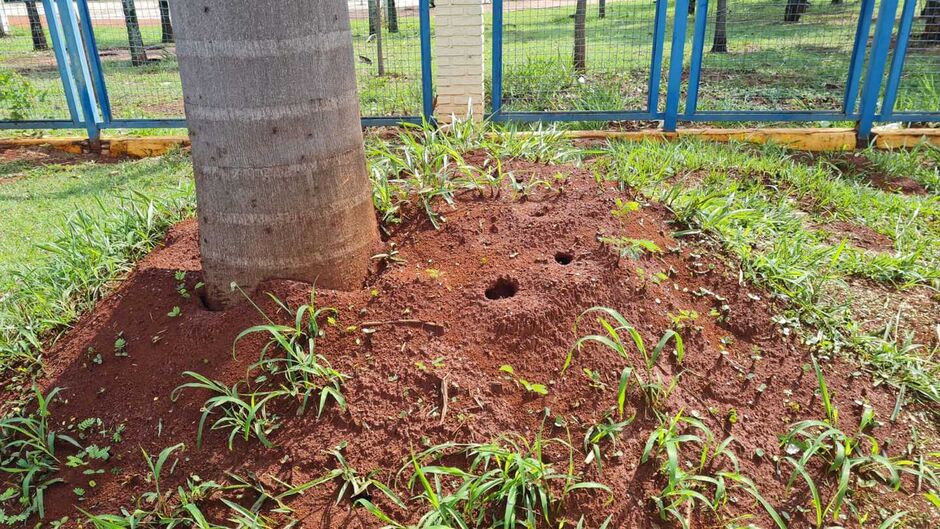 Algumas das entradas do parque estão fechadas