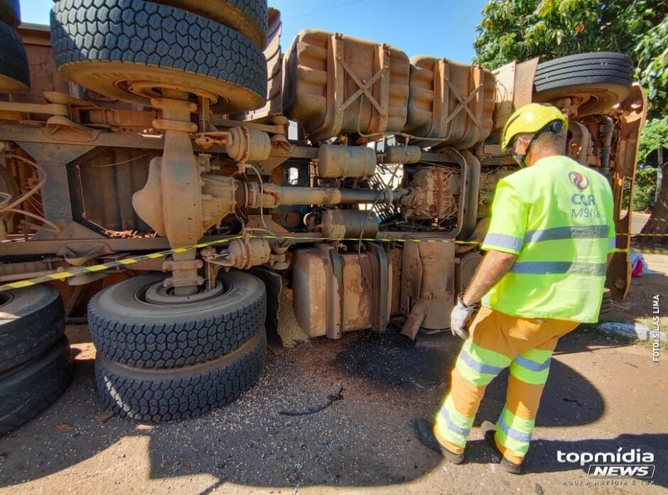 Soja invadiu loja à beira da rodovia 