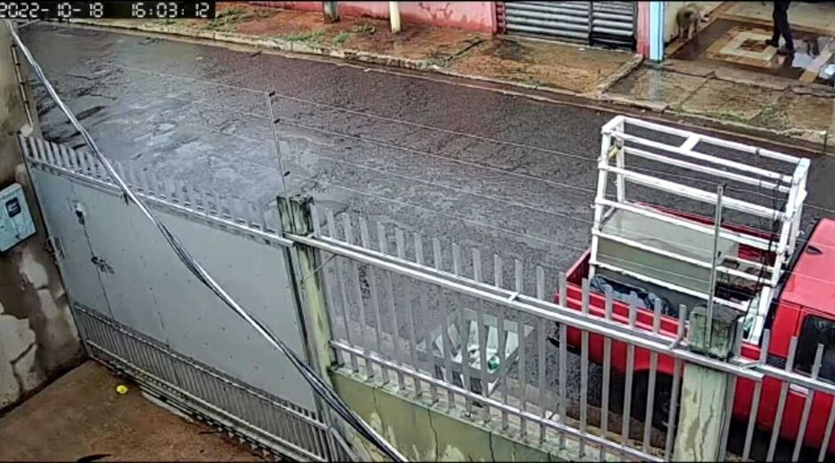 Vizinhos afirmam que vão denunciar homem que agrediu cachorro
