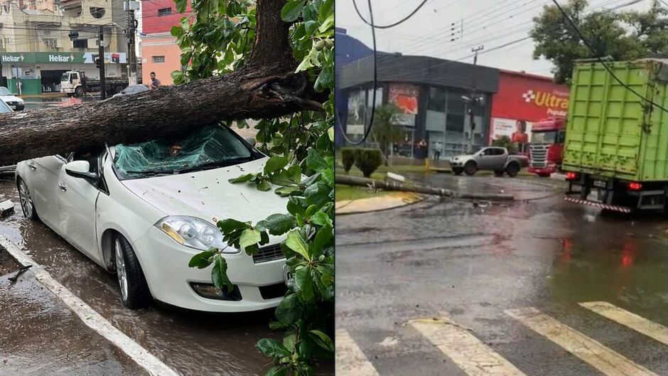 Em Corumbá, tempestade provocou queda de árvore e em Ponta Porã, caminhoneiro derrubou poste em meio a chuva