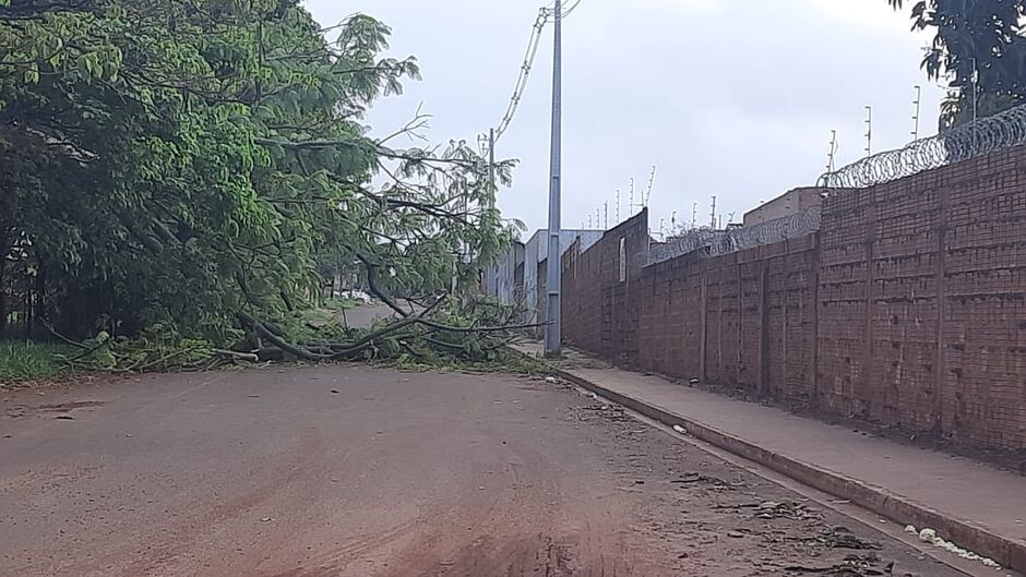 Imagem enviada por leitor 