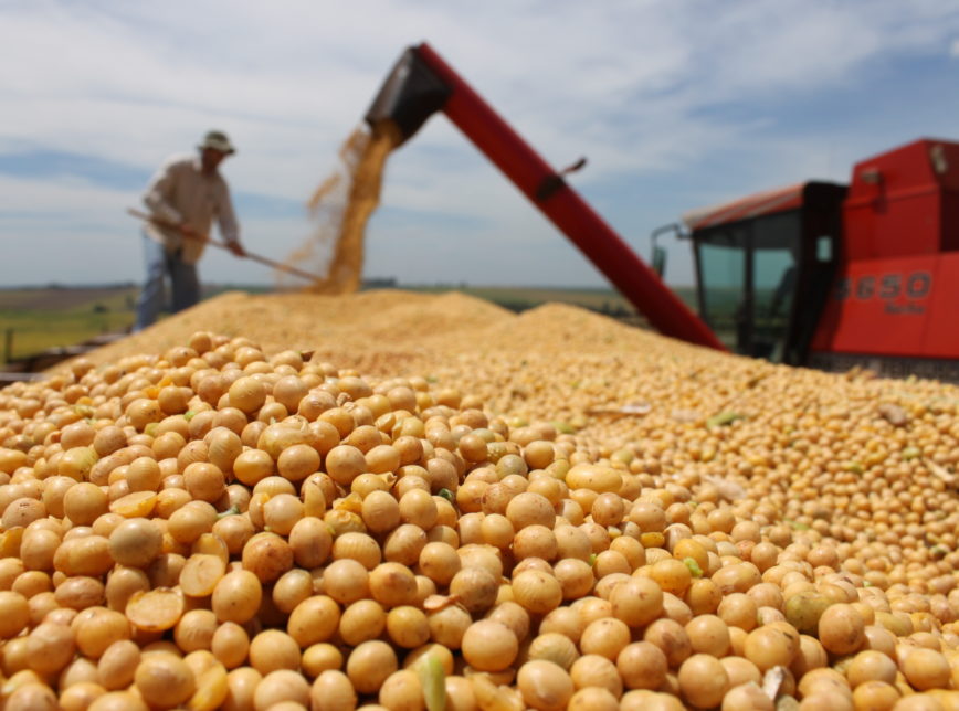 MS é destaque nacional na economia e geração de empregos