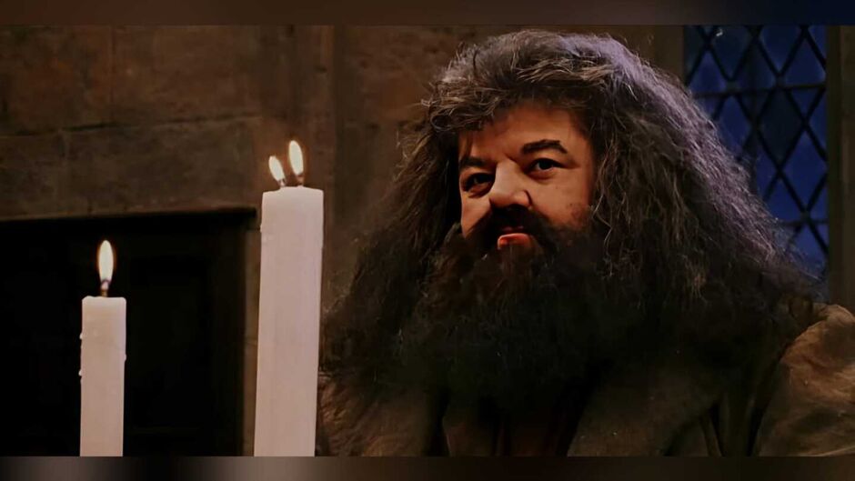 Hagrid de Harry Potter