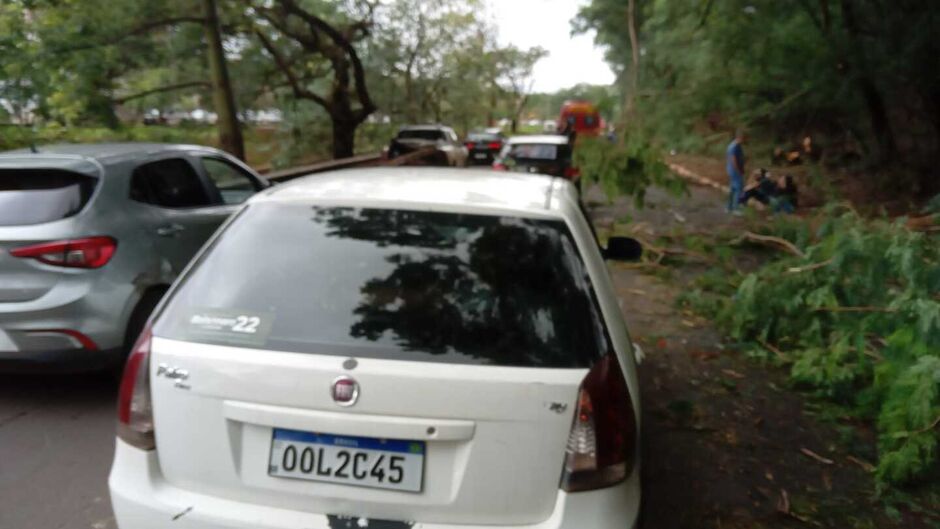 O motociclista foi socorrido pelo Corpo de Bombeiros 