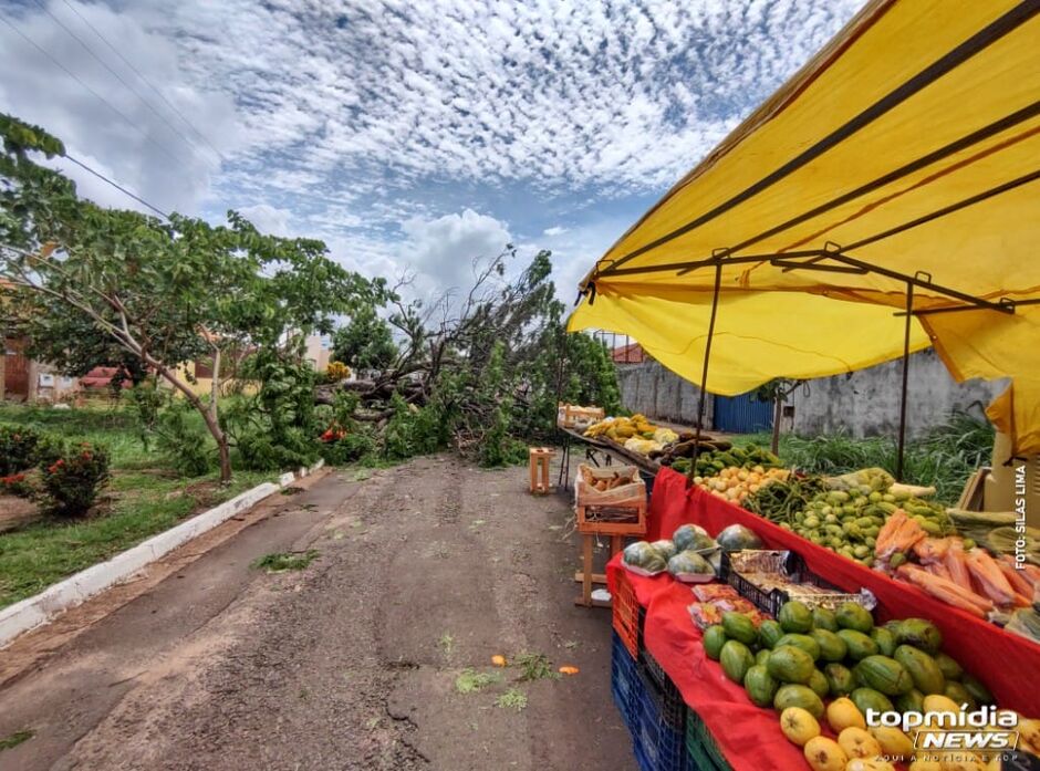 Feira ocorre todas as sextas-feiras no bairro 