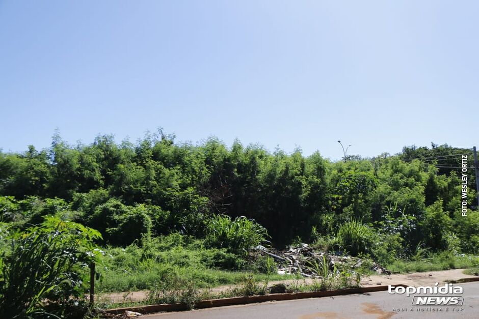 Risco de acidentes no local é grande