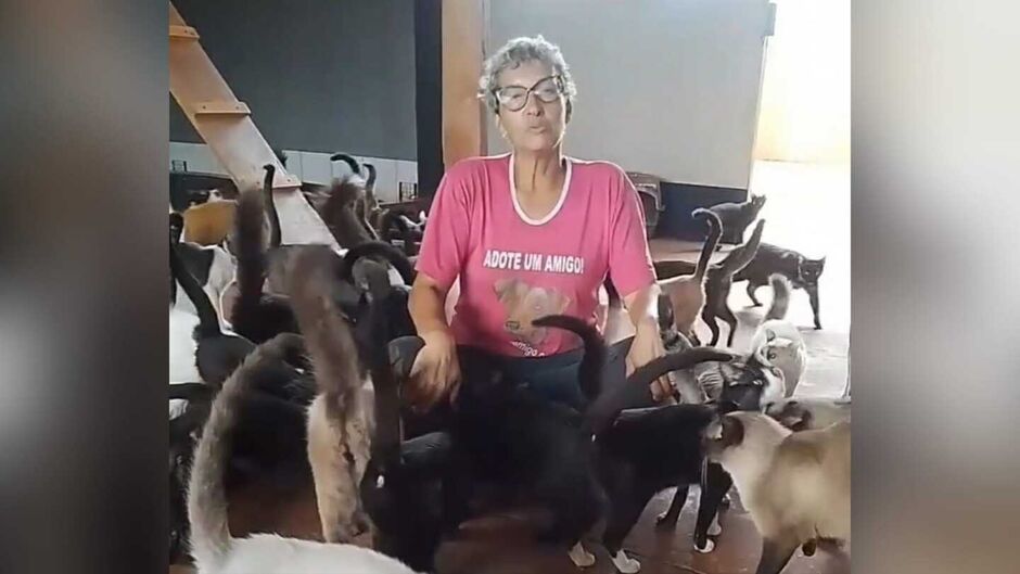 Animais precisam de ajuda para se manterem alimentados