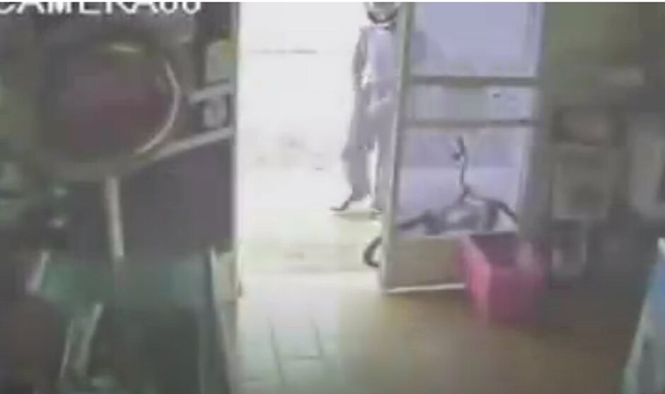 Vítimas foram amarradas e agredidas 