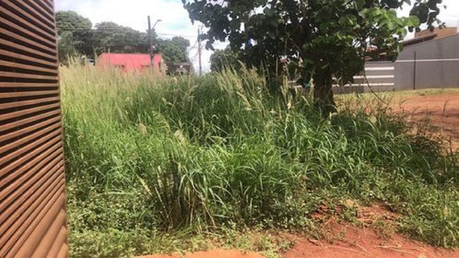 Idoso atacou menina ao voltar de mercado 