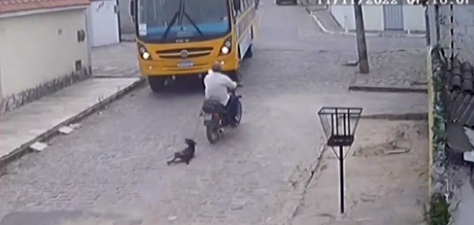 Homem arrastou animal por vários metros