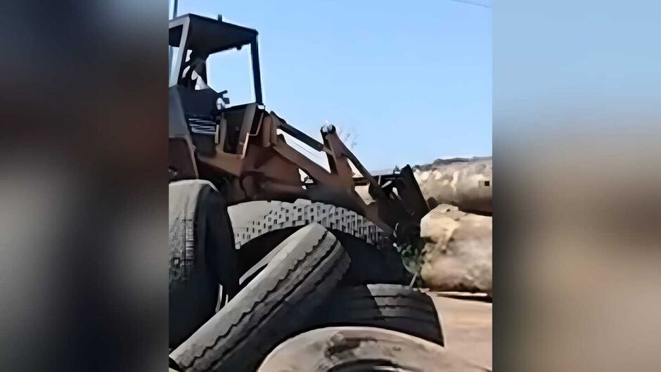 Até um trator é usado para colocar os troncos na pista