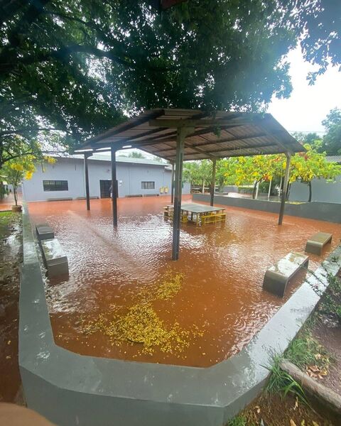 Cica alagado após a última chuva forte que deu em Campo Grande