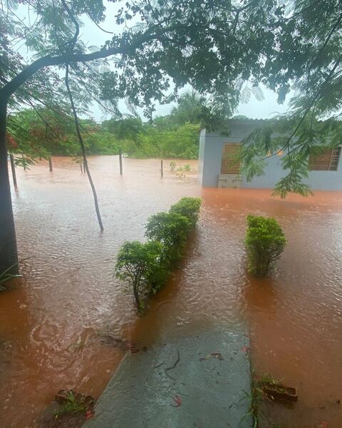 Cica alagado após a última chuva forte que deu em Campo Grande