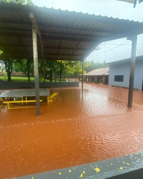 Cica alagado após a última chuva forte que deu em Campo Grande