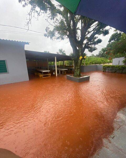 Cica alagado após a última chuva forte que deu em Campo Grande