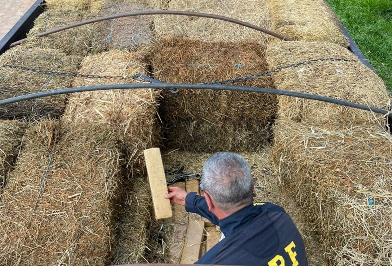 Maior apreensão do ano