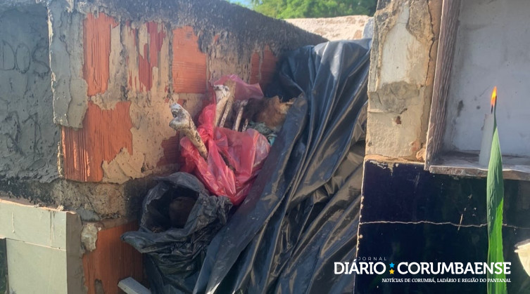 Ossos estão expostos em Cemitério