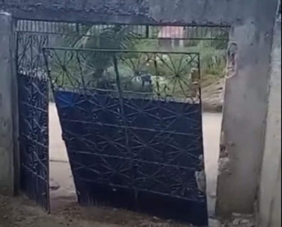 Mulher invade comércio do ex por causa de celular 