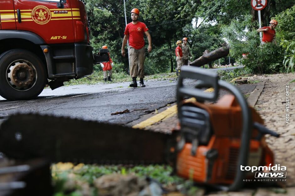 Bombeiros tentam tirar troncos e galhos da via