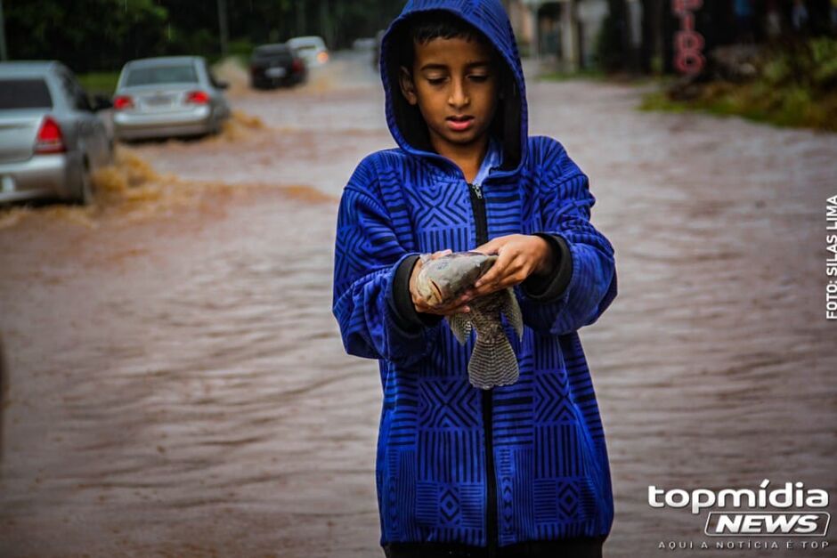 Além da tilápia, outros peixes e tartaruga foram encontrados no local