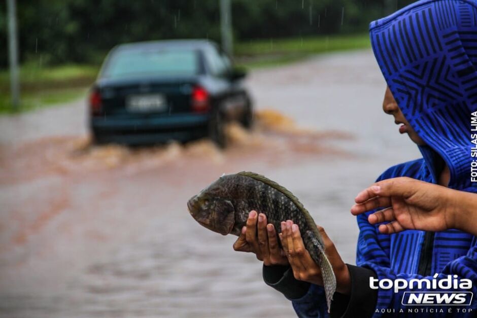 Além da tilápia, outros peixes e tartaruga foram encontrados no local