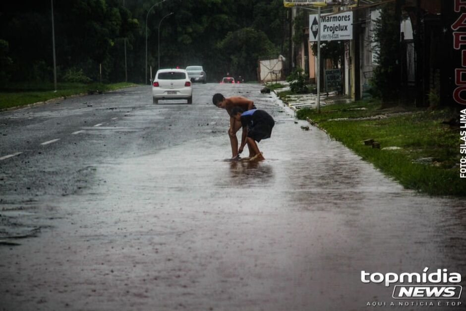Além da tilápia, outros peixes e tartaruga foram encontrados no local
